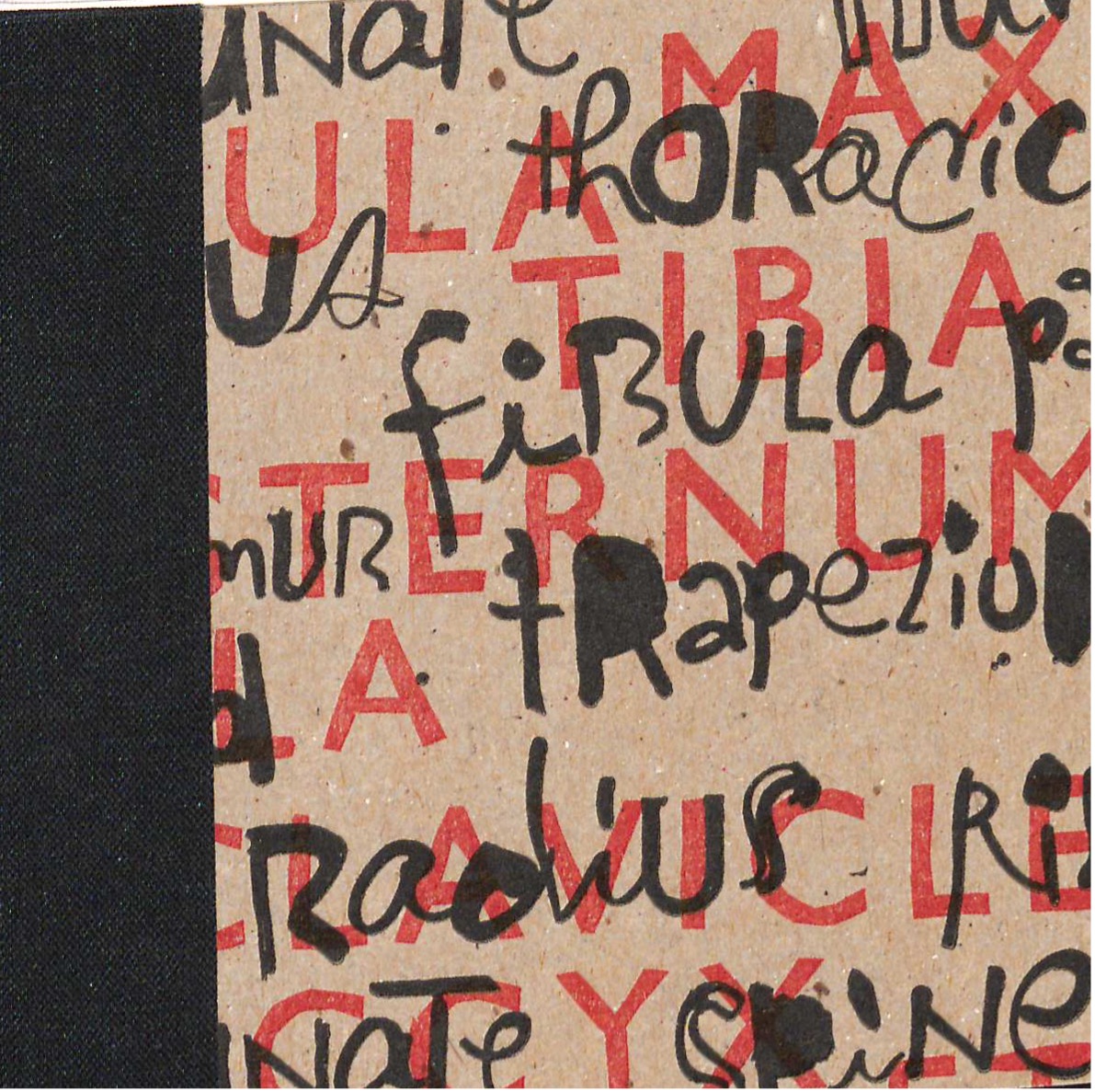 God's Femur; an anatomy lesson